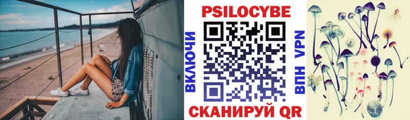 Галлюциногенные грибы GOLDEN TEACHER  Ахтубинск 