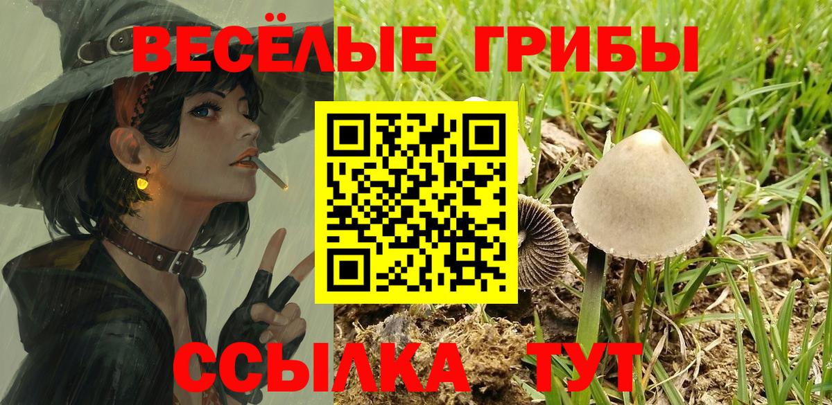 Ахтубинск  купить наркотик  Вход с VPN  Псилоцибиновые грибы Psilocybe  Псилоцибиновые грибы Psilocybe 