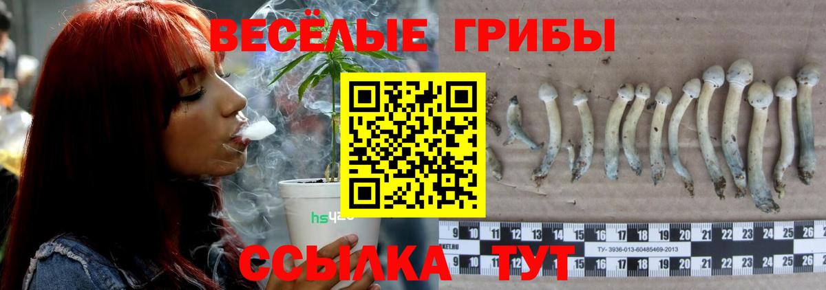 Псилоцибиновые грибы мухоморы  магазин продажи   Ахтубинск 